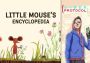 Little Mouse's Encyclopedia + Cyber Protocol - Bundle EN Argentina Xbox One/Series Digital Key
