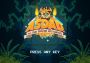 ASDAD: All-Stars Dungeons and Diamonds EN Global Steam Digital Key