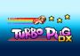 Turbo Pug DX EN Global Steam Digital Key
