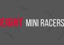 Eight Mini Racers EN Global Steam Digital Key