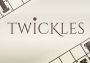 Twickles Global Steam Digital Key