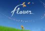 Flower Global Steam Digital Key