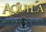 Aquila Bird Flight Simulator Global Steam Digital Key