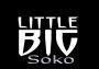 LittleBigSoko EN Global Steam Digital Key