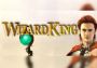 Wizard King EN/KO Global Steam Digital Key