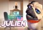 FaceRig Julien the Pug Avatar DLC EN Global Steam Digital Key