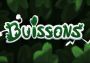 Buissons Global Steam Digital Key
