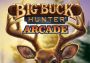 Big Buck Hunter Arcade EN Brazil Xbox One/Series Digital Key