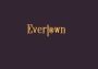 Evertown EN Global Steam Digital Key