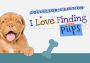 I Love Finding Pups! Collector's Edition EU Nintendo Switch Digital Key