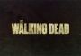 The Walking Dead + The Walking Dead: Season Two + 400 Days EN EU Steam Digital Key