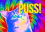 Puss! Argentina Xbox One/Series Digital Key