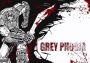 Grey Phobia EN Global Steam Digital Key