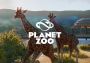 Planet Zoo RU/CIS Steam Digital Key