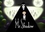 Mr. Shadow Global Steam Digital Key