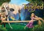Disney Tangled Global Steam Digital Key