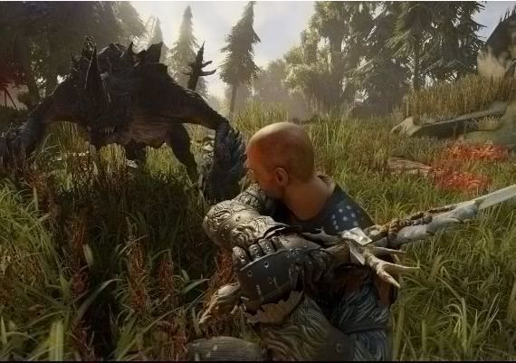 Elex EN/DE/FR/IT/PL/RU/ES Argentina Xbox One/Series Digital Key