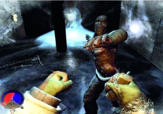 Cryostasis EN Global Steam Digital Key