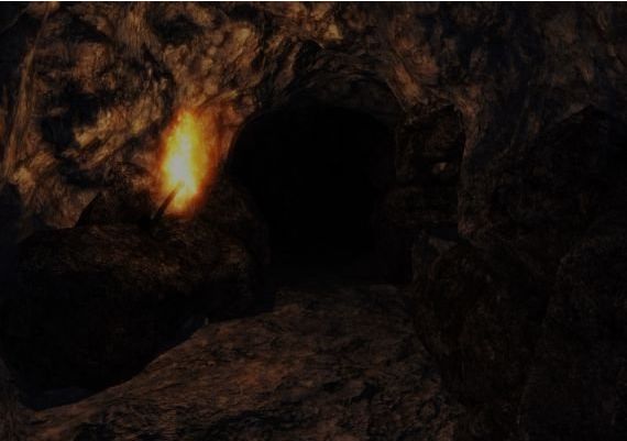 Vapour EN Global Steam Digital Key