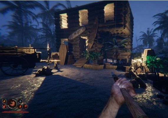 Project Castaway EN Global Steam Digital Key