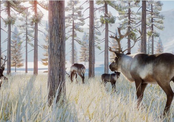 Planet Zoo - Arctic Pack Global Steam Digital Key