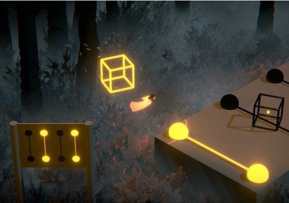 The Forest Quartet EU PS5 Digital Key