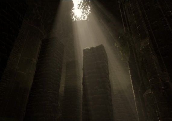 The Woods: VR Escape the Room EN Global Steam Digital Key