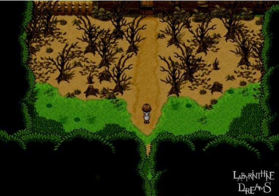 Labyrinthine Dreams EN Global Steam Digital Key