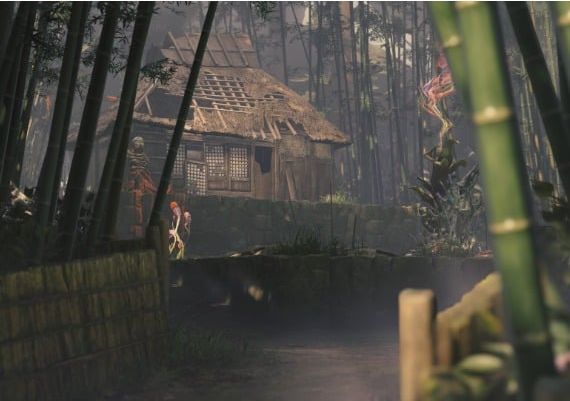 Kunitsu-Gami: Path of the Goddess North America Steam Digital Key