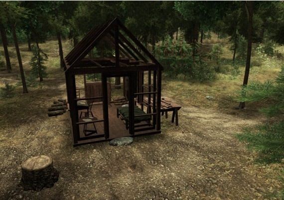 Walden, a game EN Global Steam Digital Key