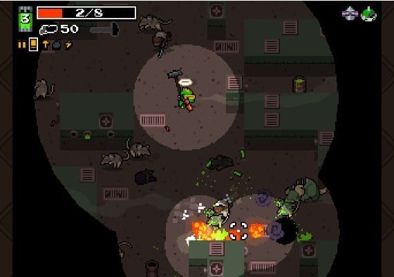 Nuclear Throne EN Global Steam Digital Key