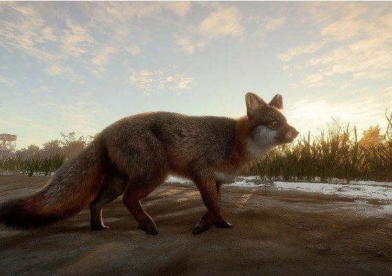 theHunter: Call of the Wild - Mississippi Acres Preserve DLC Global Steam Digital Key