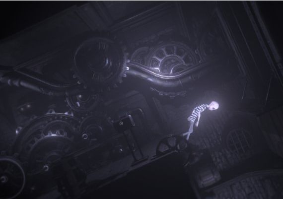 Darq Global Steam Digital Key