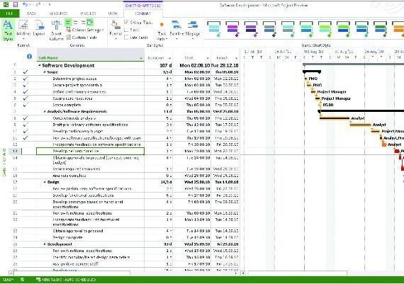 Project Professional 2013 EN Global MS Products Digital Key