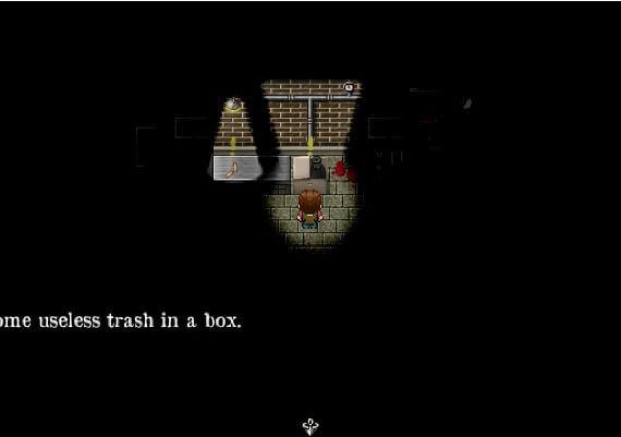 Clandestinity of Elsie EN Global Steam Digital Key