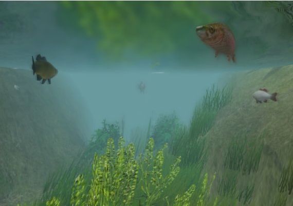 European Fishing EN/DE/PL Global Steam Digital Key