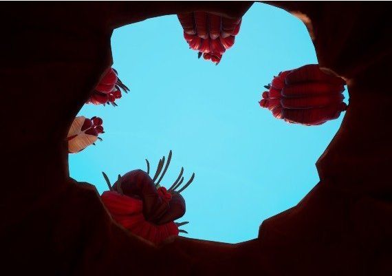 Flea Madness PRE-ORDER EN Global Steam Digital Key