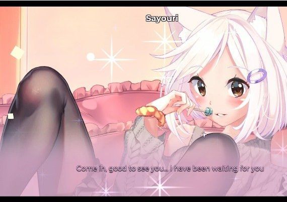 Hentai Mosaique Neko Waifus EN/DE/FR/JA/ES Global Steam Digital Key