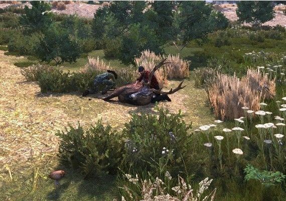 Lumberjack's Dynasty Turkey Xbox One/Series Digital Key