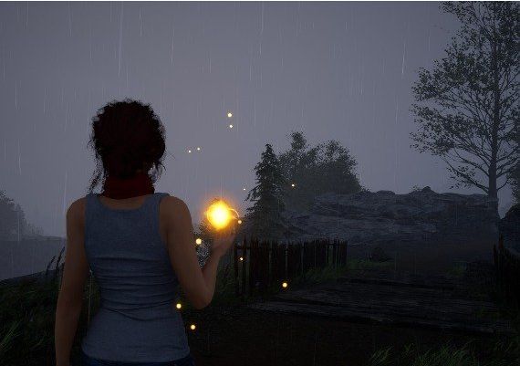 Fira EN/ES Global Steam Digital Key