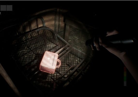 PANICORE Global Steam Digital Key