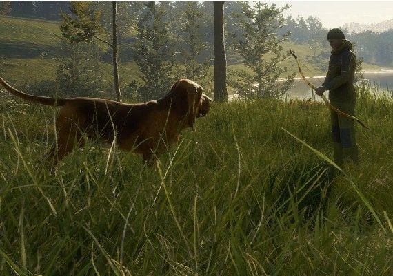 theHunter: Call of the Wild - Bloodhound DLC EN EU Xbox One/Series Digital Key