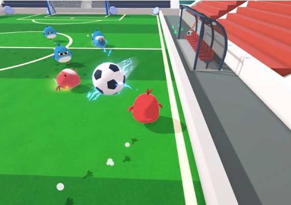 Feather Party Global Steam Digital Key