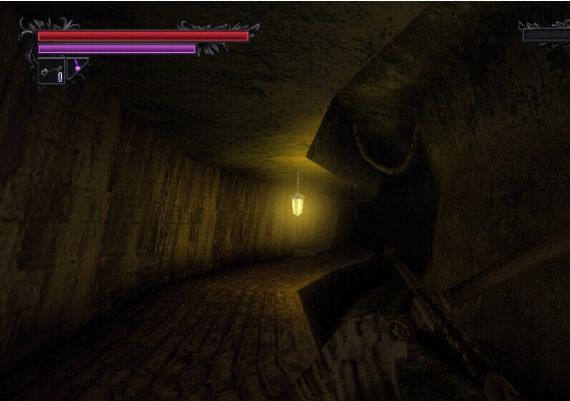 Lunacid EN Global Steam Digital Key