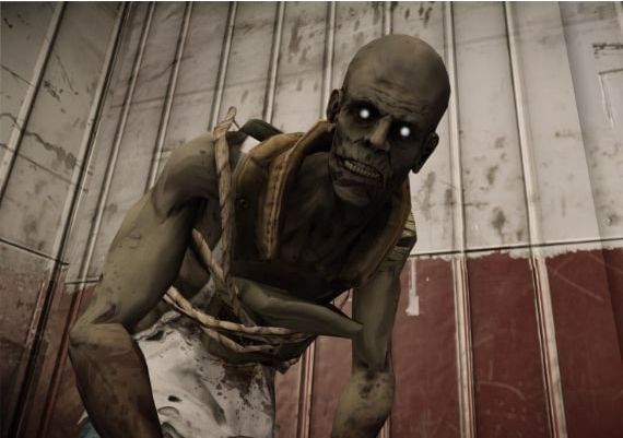 Ravaged Zombie Apocalypse EN Global Steam Digital Key