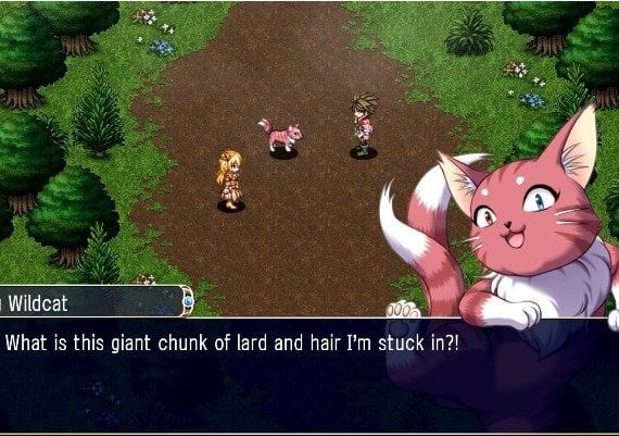 Asdivine Hearts I & II EN Argentina Xbox One/Series/Windows Digital Key