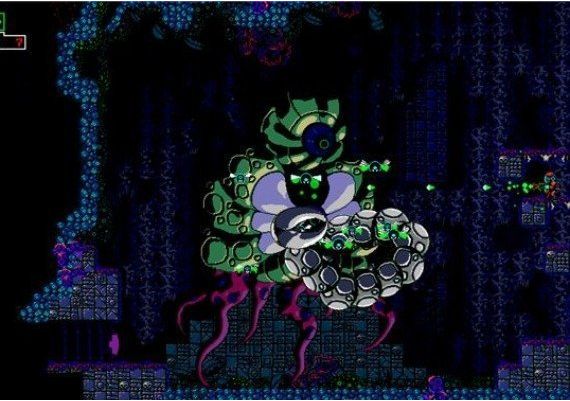 Outbuddies DX EN Global Steam Digital Key