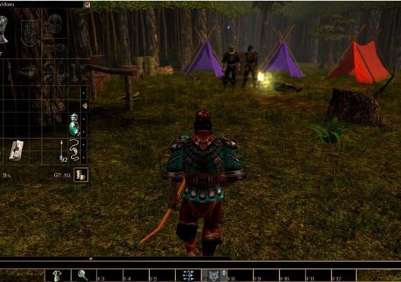 Neverwinter Nights: Wyvern Crown of Cormyr DLC EN Global Steam Digital Key