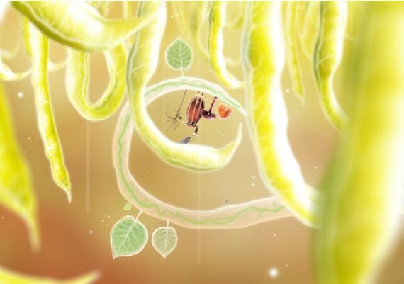 Botanicula Global Steam Digital Key