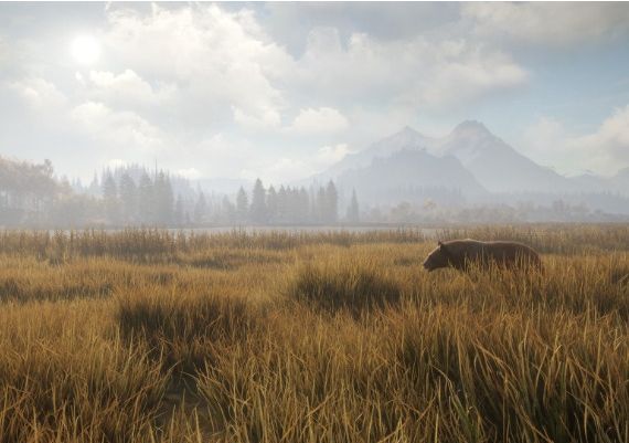 theHunter: Call of the Wild - Emerald Coast Cosmetic Pack DLC EN Global Steam Digital Key